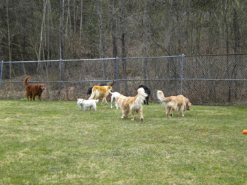 Sniffing around